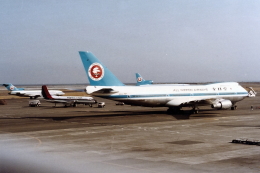 機体記号 : JA8146 (ANA) 航空フォト(飛行機 写真・画像) | FlyTeam