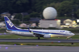 ANA (全日空) 機材一覧 運用中 ボーイング737-800 | FlyTeam(フライチーム)