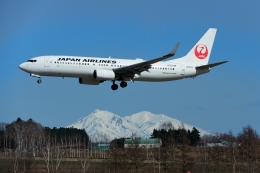 JAL (日本航空) 機材一覧 ボーイング737-800 | FlyTeam(フライチーム)