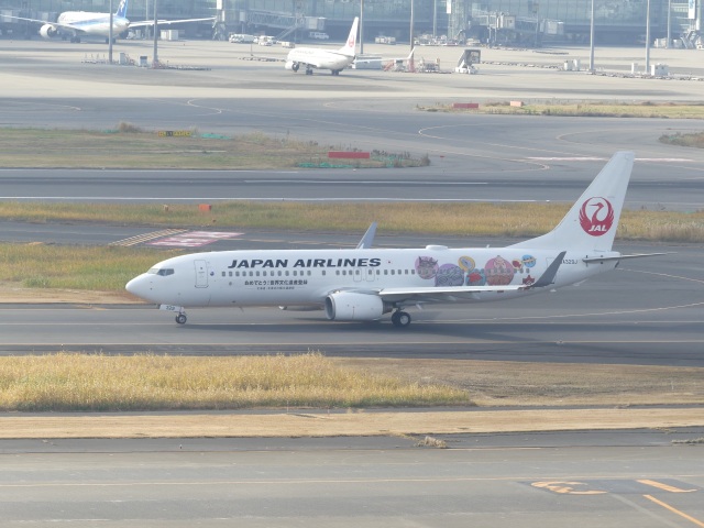 機体記号 : JA329J (JAL) 特別塗装機「JOMONジェット」 航空フォト