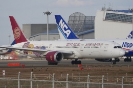 原神号」特別塗装機 吉祥航空 (787-9 | B-209R) ガイド| FlyTeam