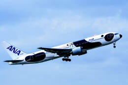 FLY!パンダ」特別塗装機 全日空 (767-300 | JA606A) ガイド| FlyTeam