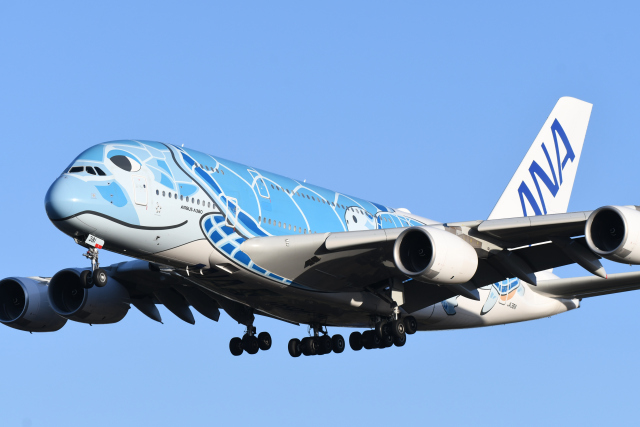 フライングホヌ ラニ/1号機」特別塗装機 全日空 (A380 | JA381A