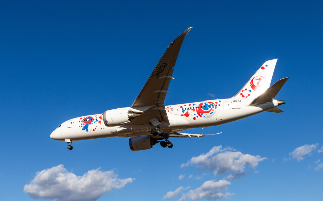 JAL (日本航空) 機材一覧 ボーイング787-8 ドリームライナー | FlyTeam