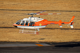 航空自衛隊 Lockheed C-130 Hercules 85-1079 名古屋飛行場 航空フォト
