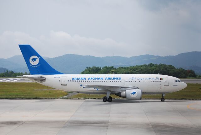 エアバスA310-300 航空機 徹底ガイド | FlyTeam(フライチーム)