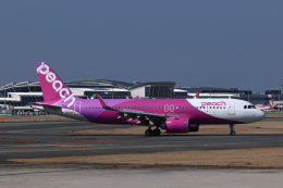 機体記号 : JA206P (ピーチ) 航空機体ガイド | FlyTeam(フライチーム)