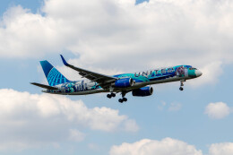 ユナイテッド航空 特別塗装機 | FlyTeam(フライチーム)