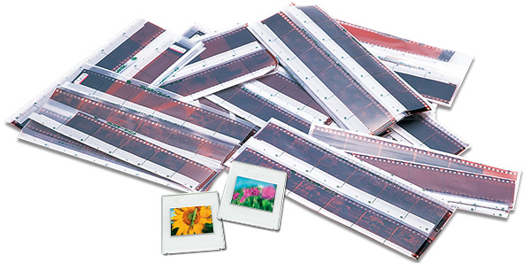 ネガフィルムとは？ネガをデジタルデータ化しよう！ | 富士フイルムの