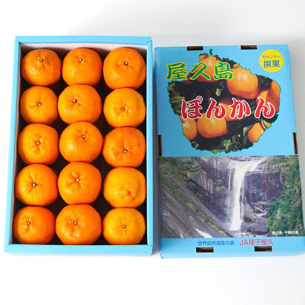 屋久島ぽんかん 5キロのギフト通販・お取り寄せ | JA鹿児島ふるさと便 公式