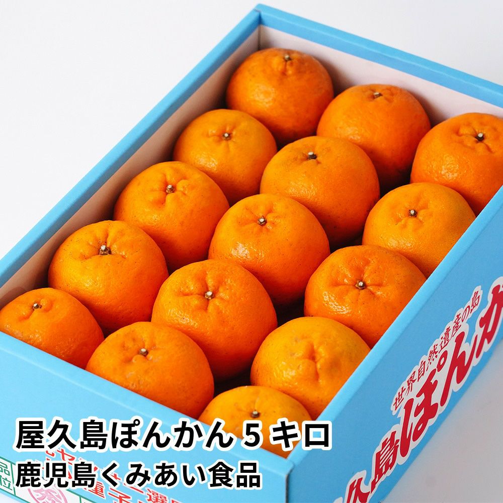 屋久島ぽんかん 5キロのギフト通販・お取り寄せ | JA鹿児島ふるさと便 公式