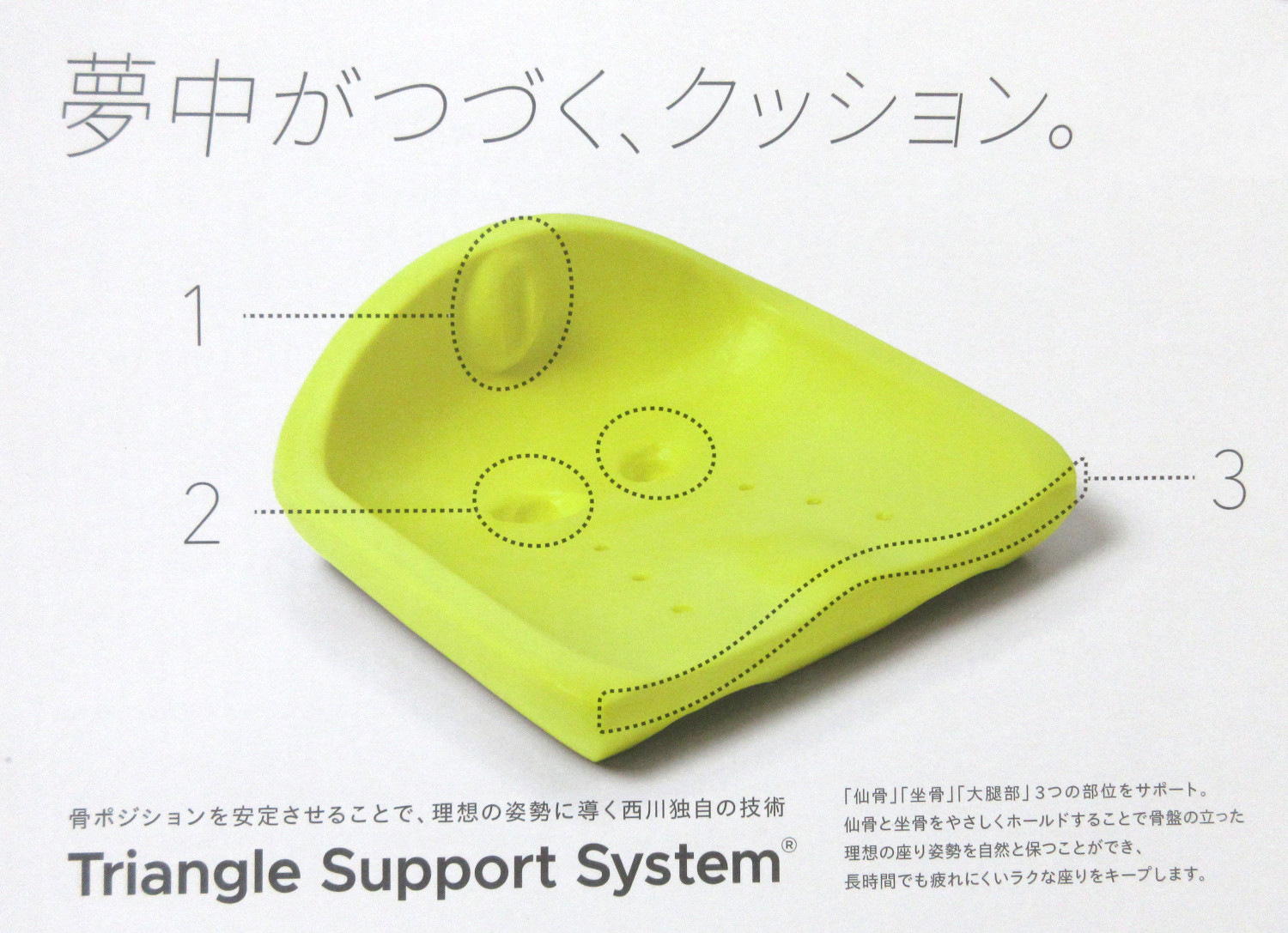 うさぎ　Nishikawa 西川 Keeps 腰のまくら・お尻のまくら 発売9ヶ月で約3億円販売した大人気“おしりの枕”の「Keeps」から第二弾