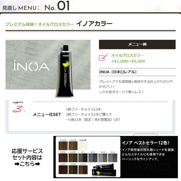 イノアカラー グレイカラー見直し応援企画メニュー化セット （1剤12本