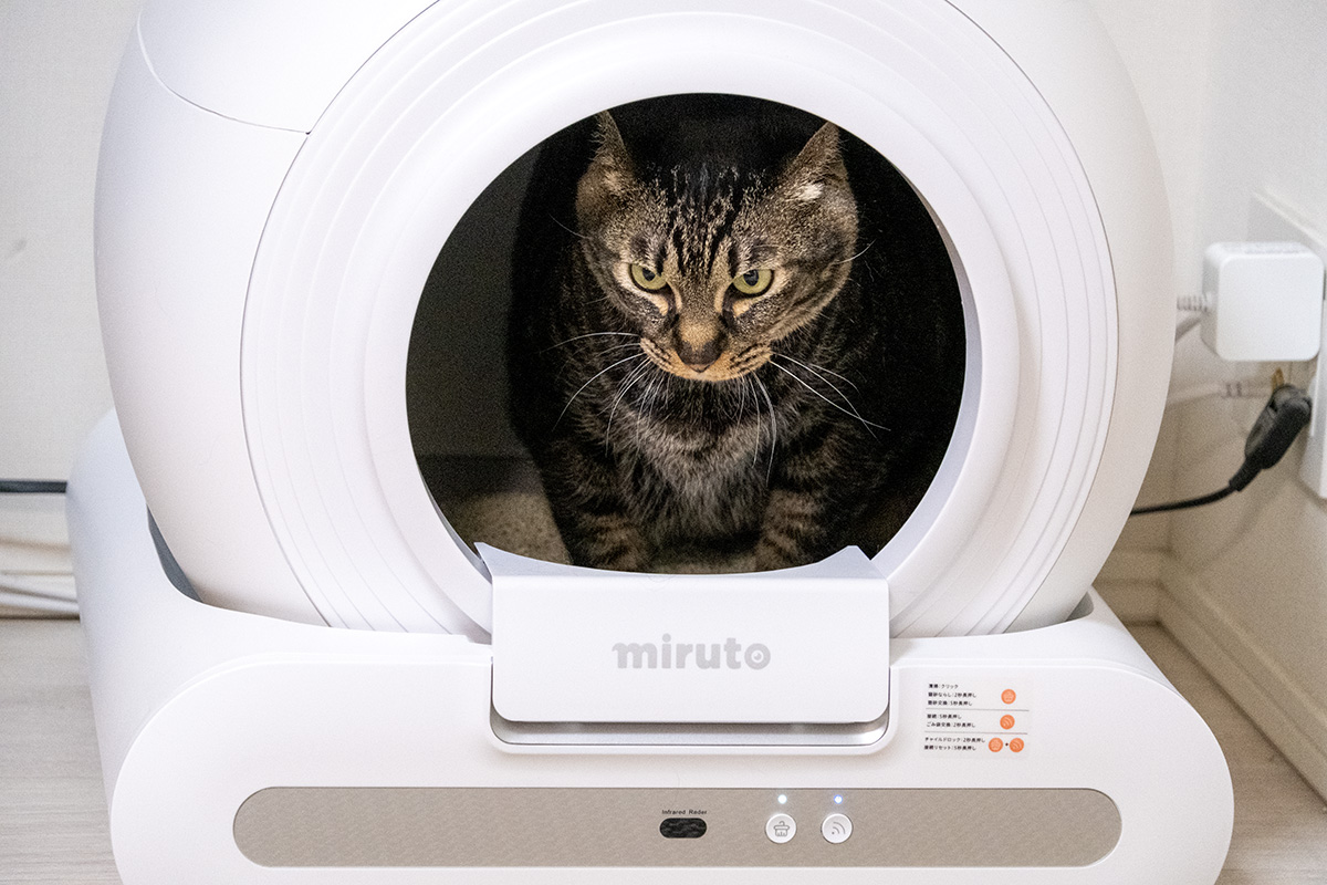 miruto MT-TOL-2 レビュー】コンパクトで扱いやすい猫用自動トイレ