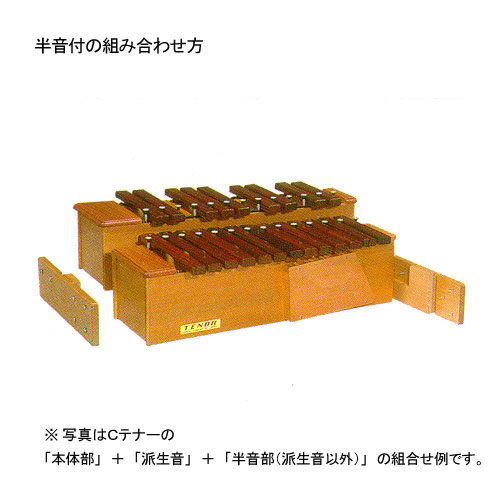 こおろぎ社 木琴・卓上木琴（シロボックスホーン Cテナー）・楽器販売