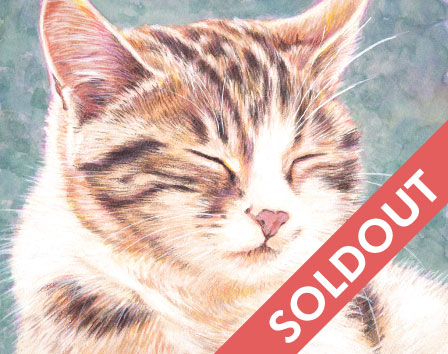 まどろむ猫|a044|【ギャラリー笑夢】☆動物アート販売.アクリル画製作