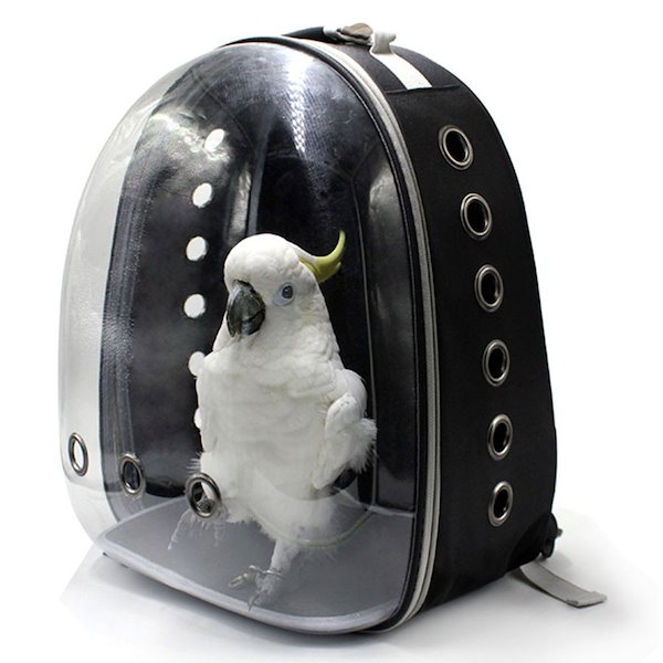 Qoo10] インコ ケージ キャリー バッグ 持ち運