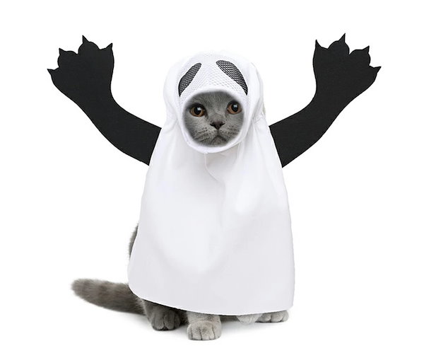 Qoo10] ハロウィン仮装 ペット用 ペット服 コス