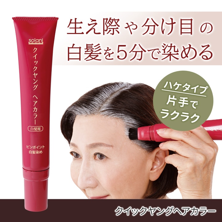 即納☆【在庫限り】【Z1885】ピンポイント白髪染め クイックヤングヘア