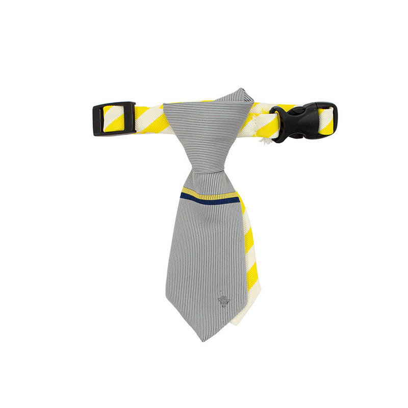 ちょっと、そこまで｜猫のためのネクタイ（トラベルベルトチップタイ