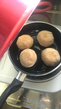 シラルガン ニューシングルセット