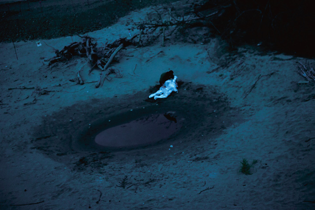 志賀理江子 螺旋海岸 | gm projects