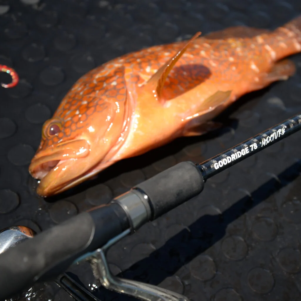 ロックフィッシュ専用ロッド「グッドリッジ」誕生！マグバイト渾身の3