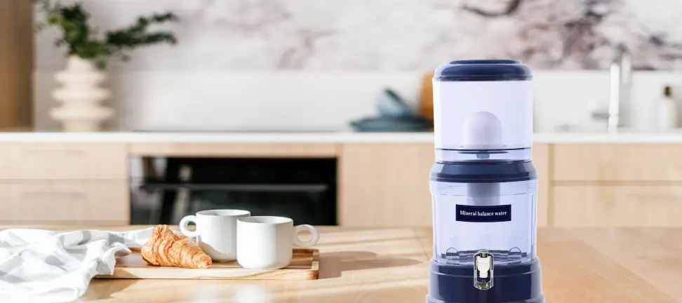 ミネラルをバランス良く摂取するならライフエッセンス|当サイトからの