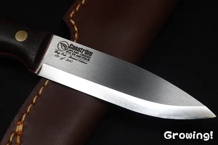 ナイフショップ グローイング！□Casstrom【カストロム】□ 「No10
