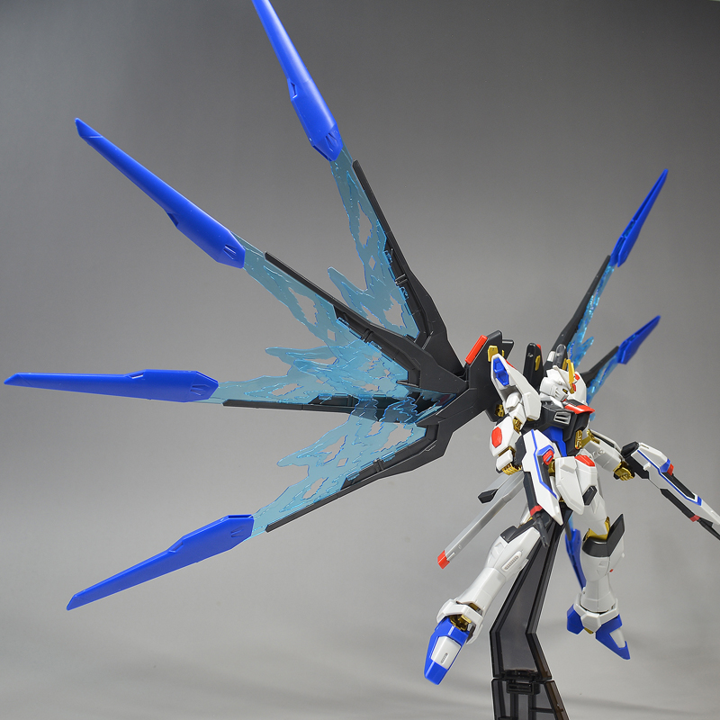 HGCE ストライクフリーダムガンダム 光の翼DXエディション レビュー