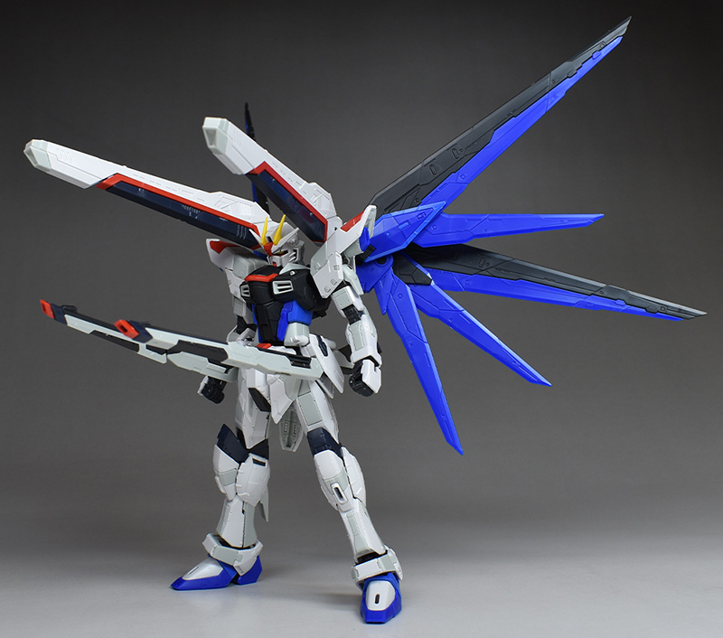 RG フリーダムガンダム Ver.GCP レビュー | ガンダムブログはじめました