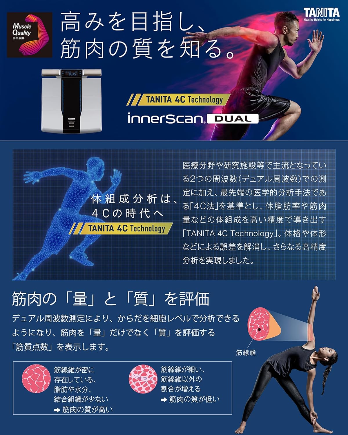 月額8,800円レンタルプラン：タニタ 左右部位別体組成計 インナー
