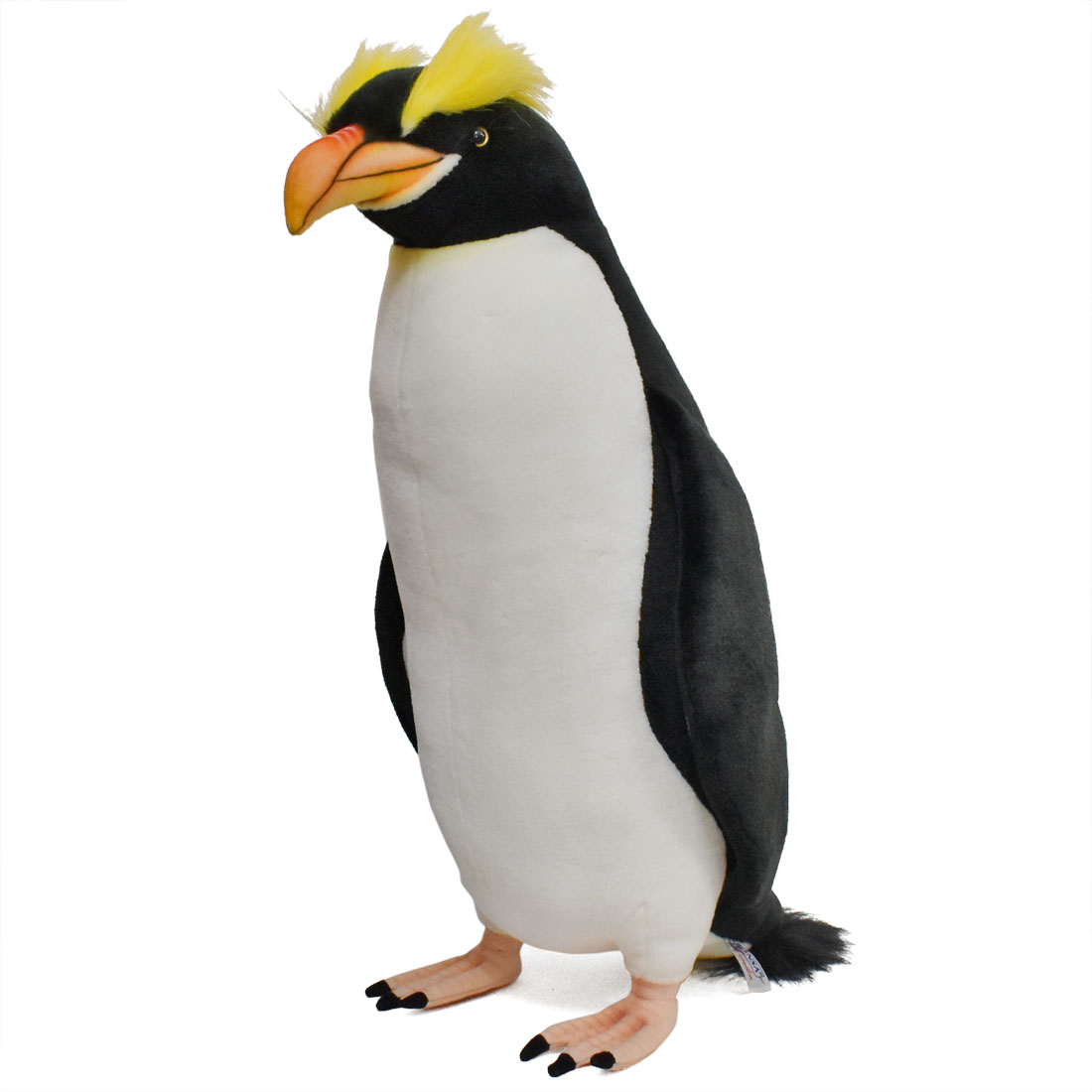 シュレーターペンギン 59 | HANSA