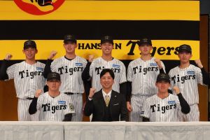 2013年｜PC版バックナンバー｜メールマガジン｜DreamLink｜阪神