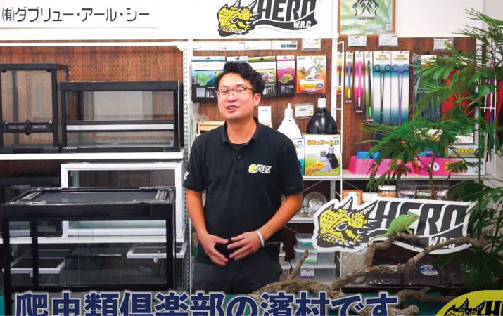 HEROの爬虫類のケージ、ARシリーズ | 爬虫類倶楽部