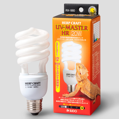 トカゲの飼育に必要な紫外線ライトの正しい使い方を紹介 | はちゅアリウム