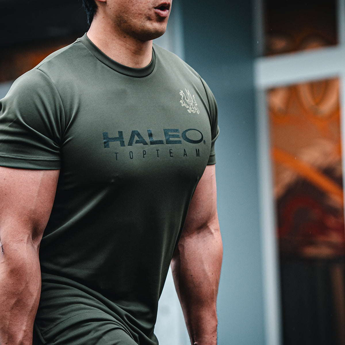 HALEO TOP TEAM MESH TEE KHAKI Tシャツ