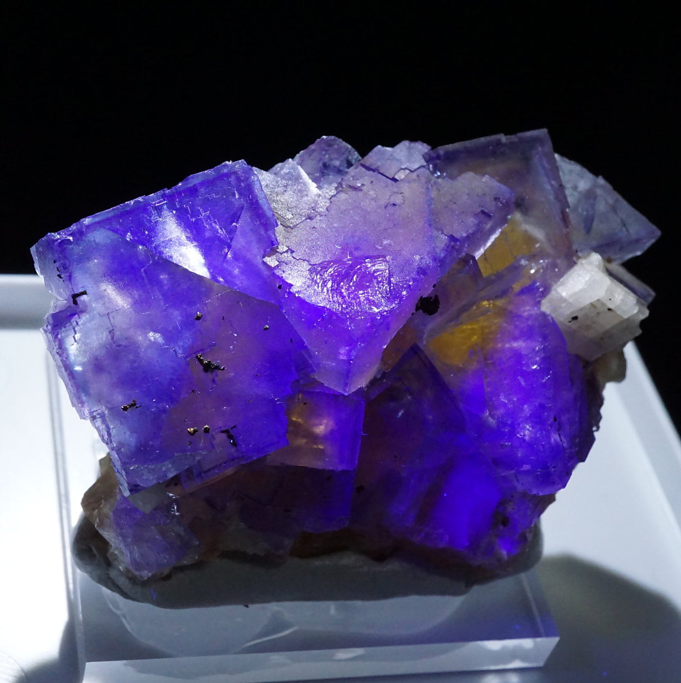 ドイツ産 フローライト – 天然石ハッピーギフト