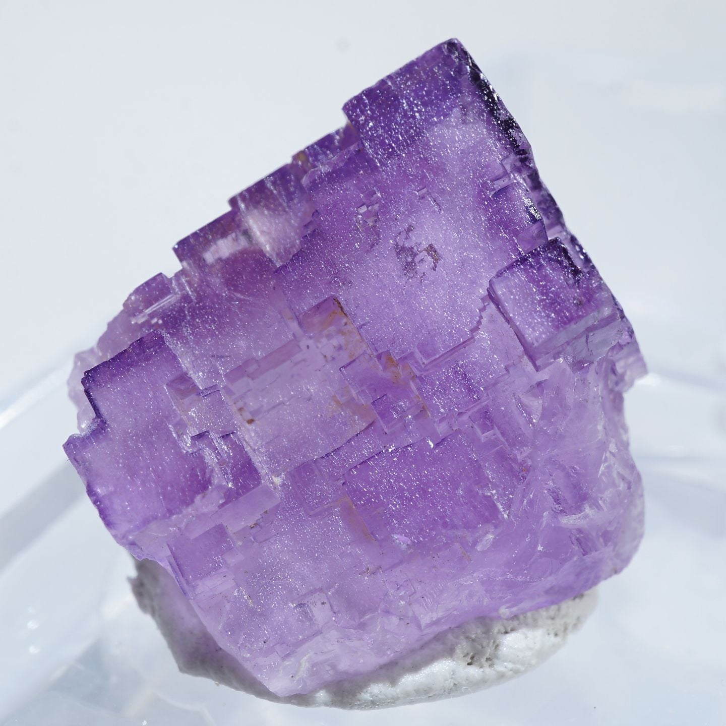 94924-c1_1440x.jpg?v=1666165976