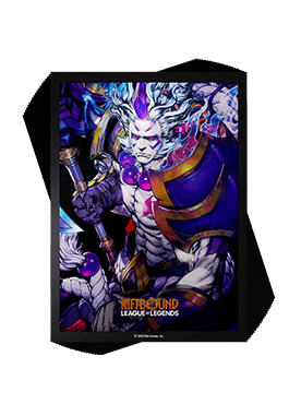 TCG専門店 蓮屋 MtG & FaB & GA / スリーブ