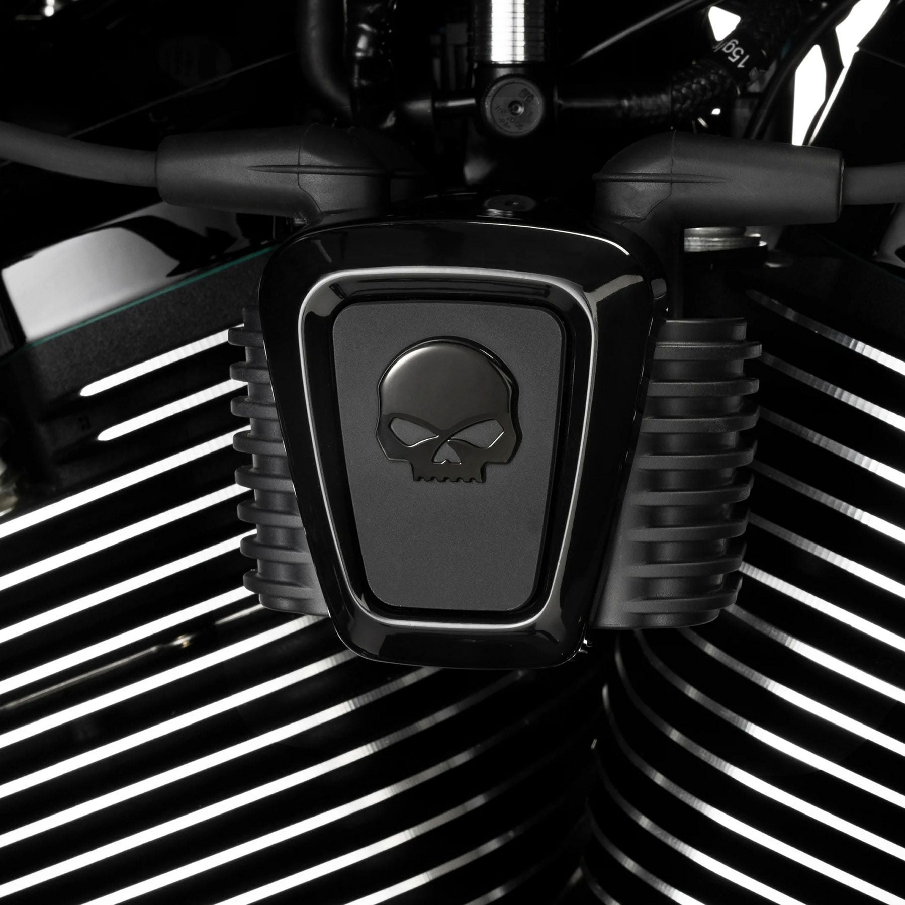 2018以降 ソフテイル、2025以降 ツーリング ウィリーGスカル コイル