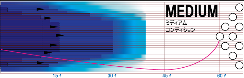 ハイロード・パンチ - ハイスポーツ社 ：信頼のボウリング用品販売