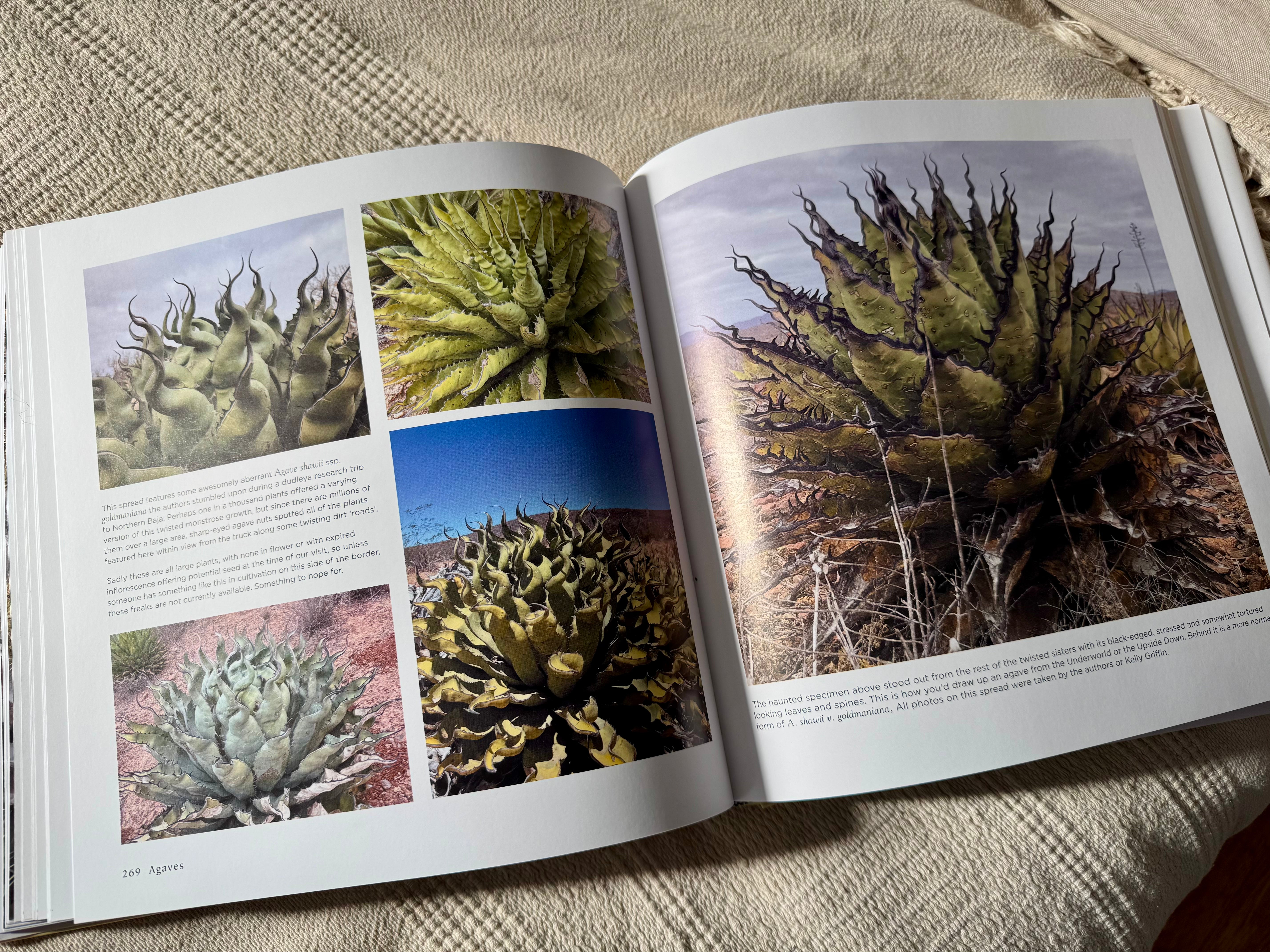 Agaves, species, cultivars, & hybrids 2nd Ed. – Hidden Agave