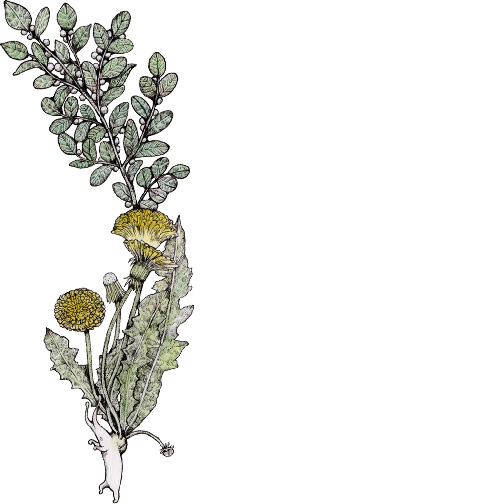 画集『COLLECTION OF WORKS 2023(SPECIAL EDITION) Heart/BORIS