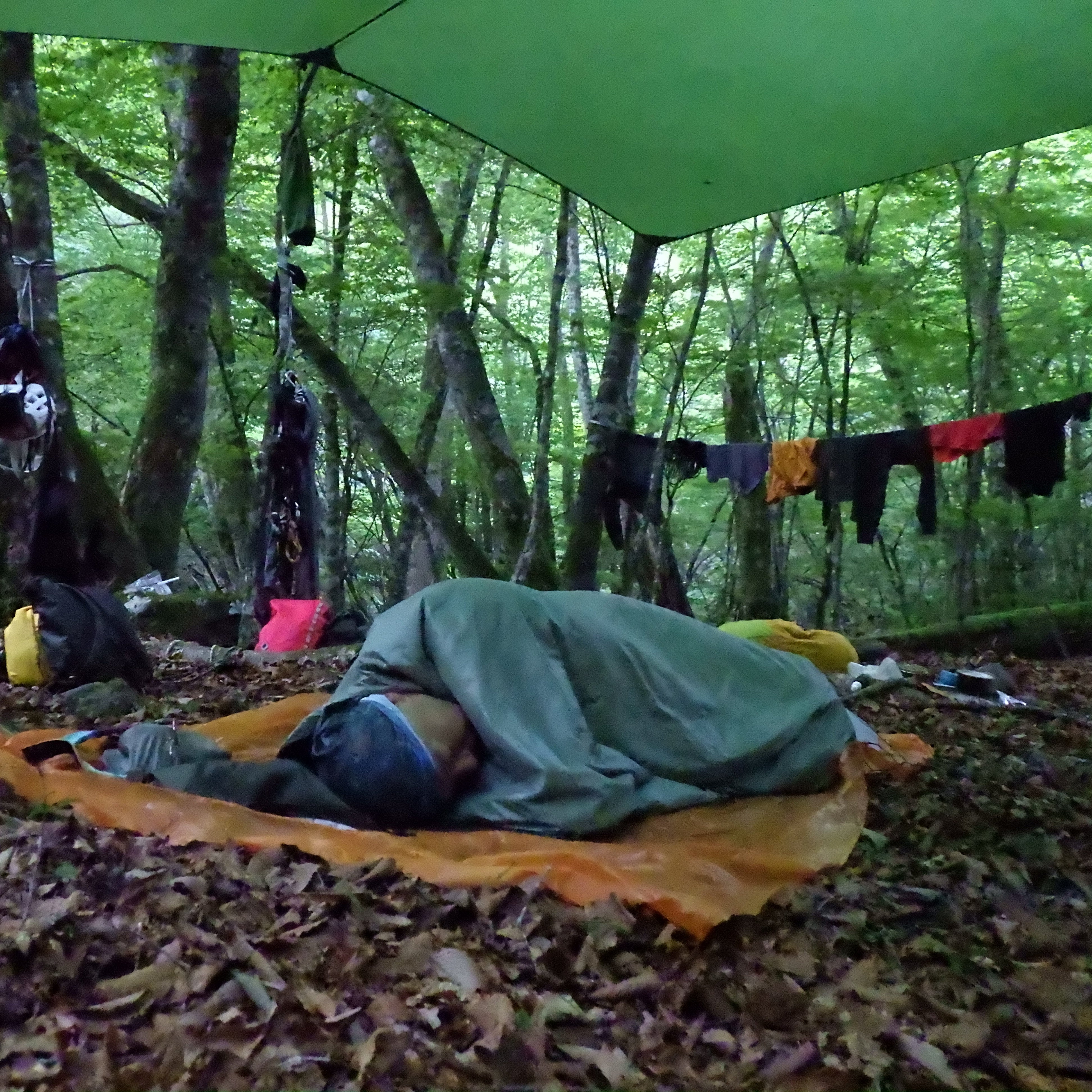 Top Quilt | Highland Designs | トップキルト | ハイランドデザイン