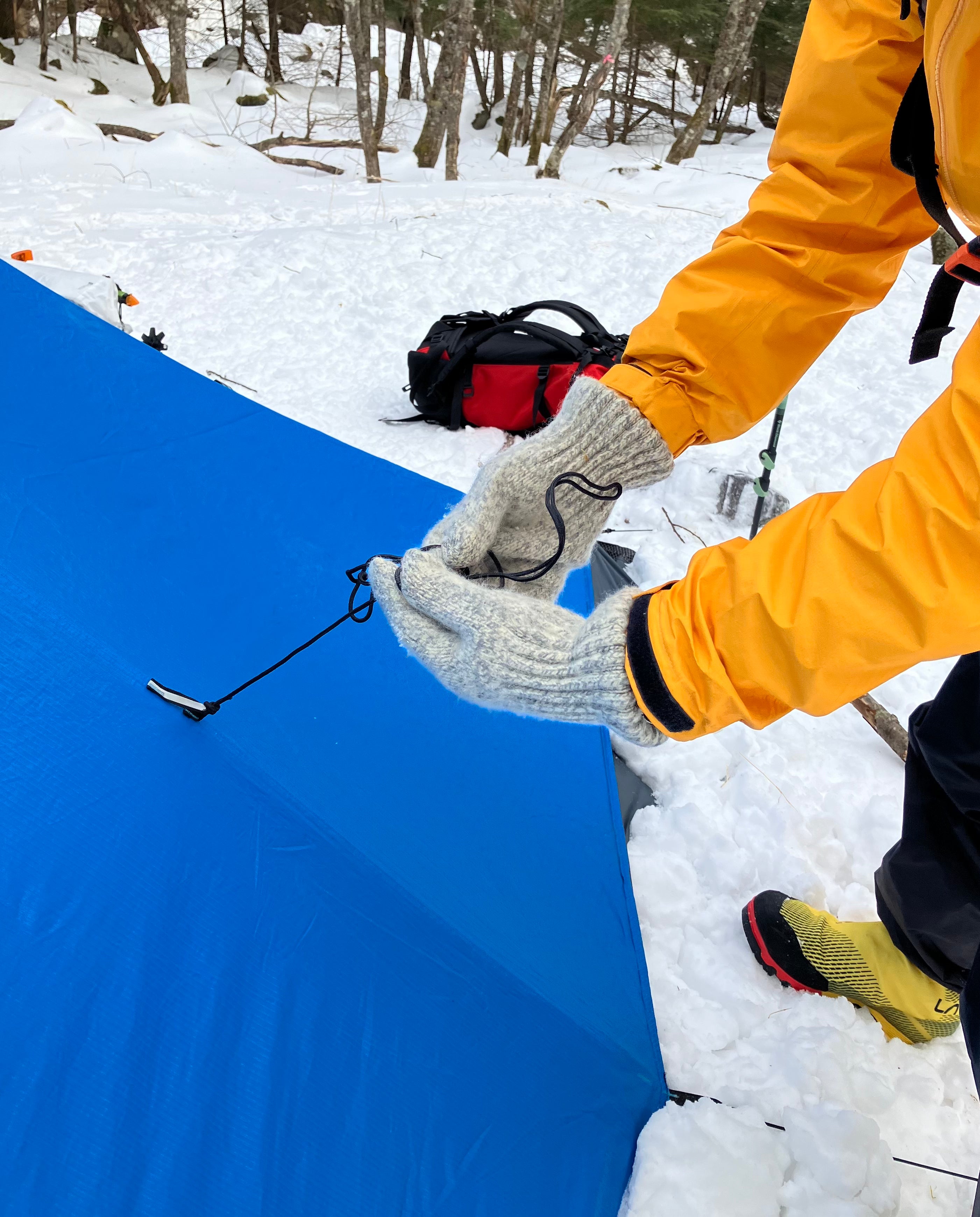 Mega Snow 4P | Black Diamond | メガスノー4P | ブラックダイアモンド