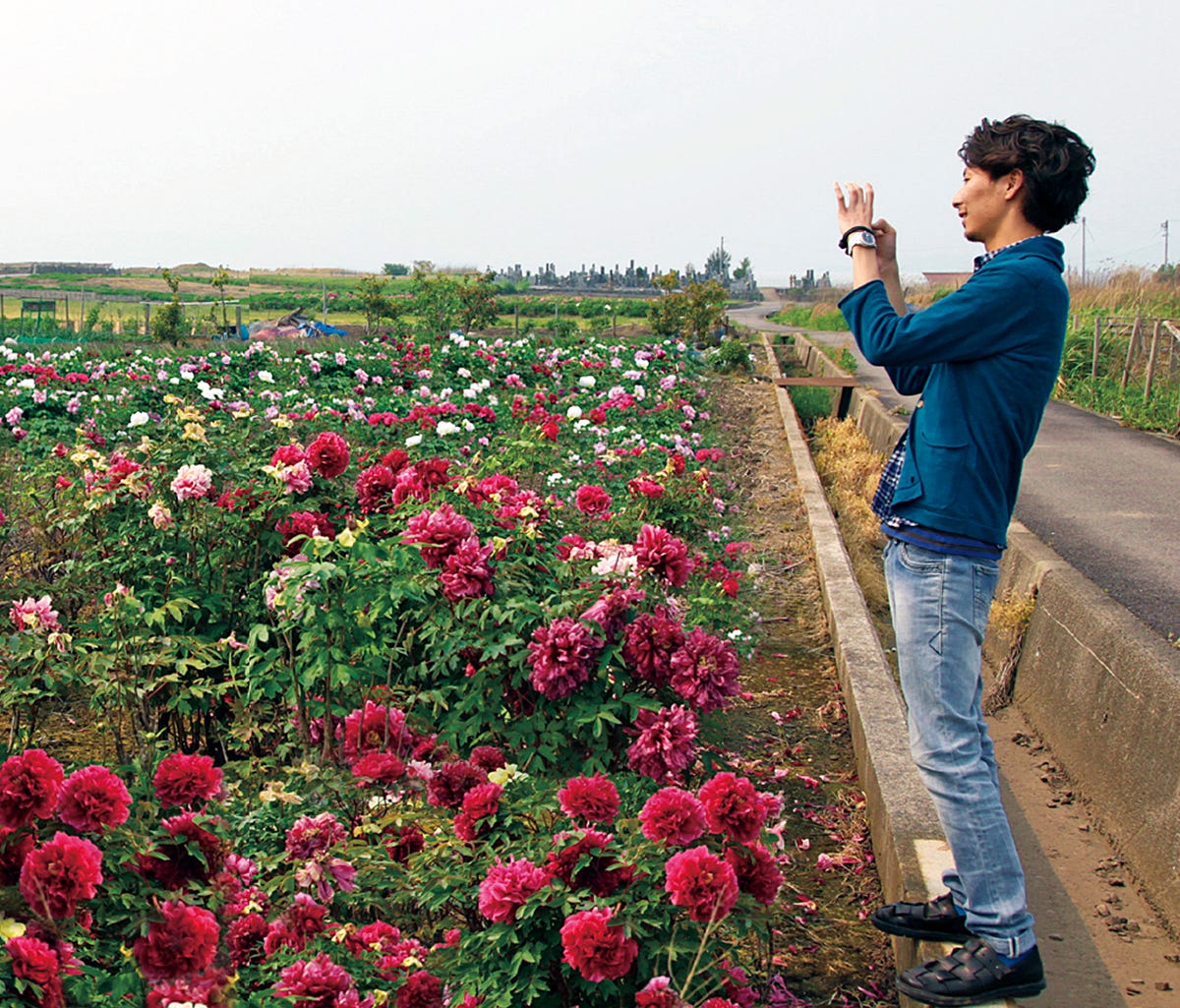 4月 家元のいけばな「百花の王、牡丹（ボタン）」