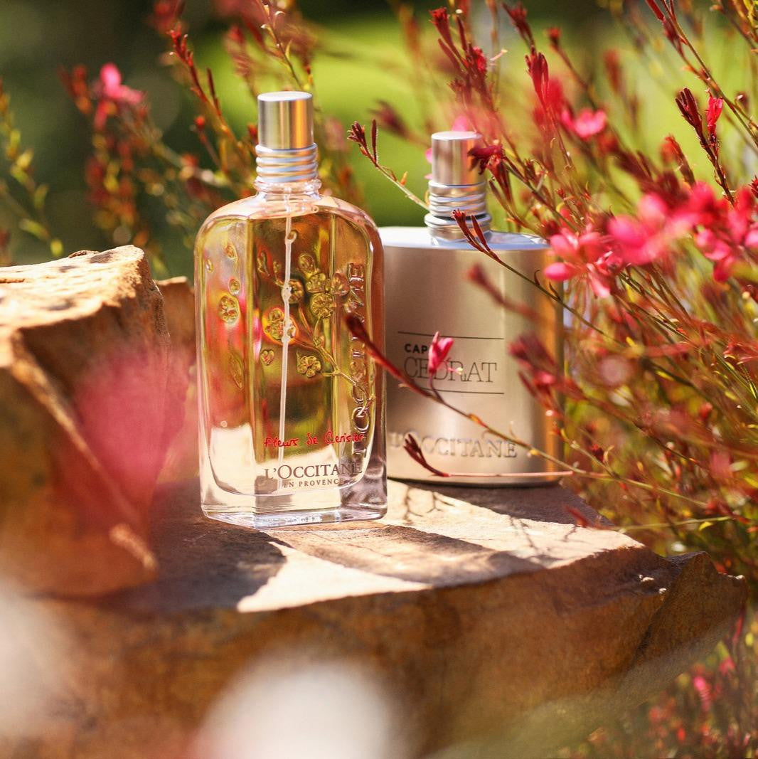 香氛Perfume 香水全系列｜L'OCCITANE 香港– L'Occitane en Provence