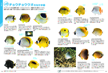 学研の図鑑LIVE（ライブ）『魚 新版』 ｜ 学研出版サイト
