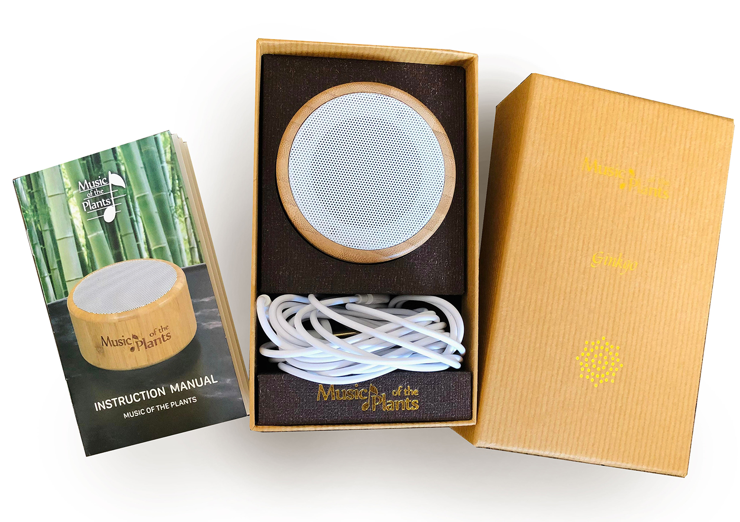 植物の音楽・イチョウ